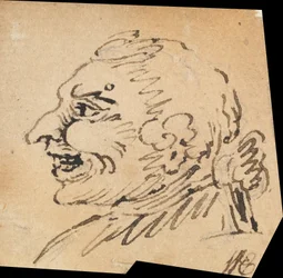 Grotesker Männerkopf